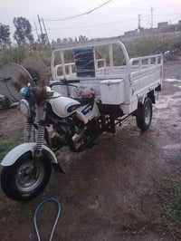 ستوته • موديل 15 • اوراق أصولي