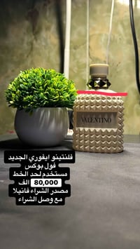 فلنتينو • بورن ان روما • مستخدم