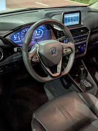 شانجان السڤين • ٢٠٢٢ • بدون بوية