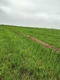 چاير للبيع 100 دونم تواصل 07803216036