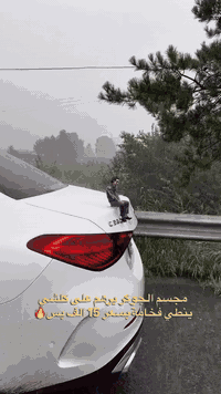 🃏 مجسم الجوكر الجالس 🔥

ديكور يخلي سيارتك مختلفة وجريئة

تصميم ثلاثي الأبعاد بتفاصيل دقيقة

قناع قابل للتبديل لستايلين مختلفين

ثابت ومناسب لداشبورد السيارة

مثالي لعشاق الجوكر والتميز 😎

اطلبه الآن وخلي سيارتك تحچي 🔥
📦 للحجز والاستفسار:
✉️ الرجاء مراسلتي على الخاص مباشرة.
📞 واتساب: ***********
🚚 يتوفر توصيل إلى كافة مناطق العراق خلال أسرع وقت وبأمان كامل.
#الشعب_الصيني_ماله_حل😂😂 #فولو #اكسبلور #ترند #تسوق
