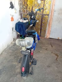 دراجة شحن • حجم كبير • كامل المواصفات