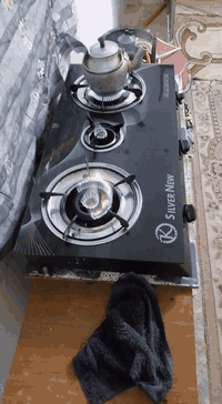 الرمادي • شغالة • تعهد