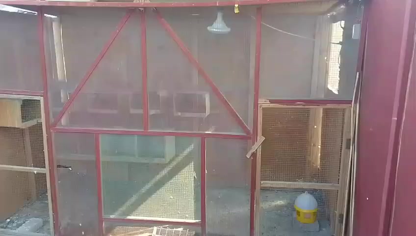 السلام عليكم واجهيه نضيفه هيه وسقف عنواني بصره الاصمعي الجديد قرب جامع السهلاني ***********
