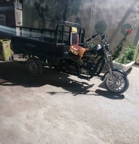 ستوته • مديل ١٦ • اوراق