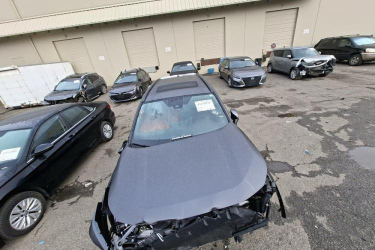 سلام عليكم
اخوان ميعجبك المنشور صلي على النبي واعبر

2024 Rav se + hybrid 
ضرر صندوق وجاملغ خلفي
 
ماشية 6000 m

فتحة 

كشن مخمل 

رادرات 

ومواصفات الباقيه معروفه 

السياره شغاله ماشيه مابيها شي 

دعاميه ورادار ولايتات موجوده 

موجوده بالمنطقه الحرة 

السعر مطروح بدون كمرك بدون تصليح 

155 وبي مجال بسيط 

***********/متوفر واتس اب
