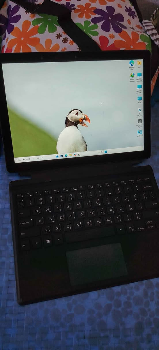 كوره اي 5 الجيل الثامن شحن تبسي رام 8 السعر 375 نظافه 100% موصل, نينوى


**إذا كنت صاحب هذا الإعلان وتريد حذفه لأي سبب، رجاءا أرسل رسالة إلى الدعم الفني**