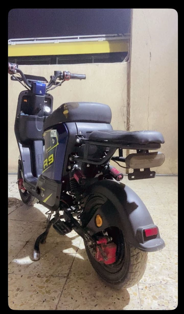 سلام عليكم 
R9
2024
مزوده عقل رياضي 
تقفل 66 حقيقي وتنطي اكثر
الدراجه يرادلها كتف ب 5 الف ينزل من السعر 
الدراجه خير من الله
 السعر: 325 وبيها مجال 
المكان بغداد الامين الثانيه
اتصال: ***********
