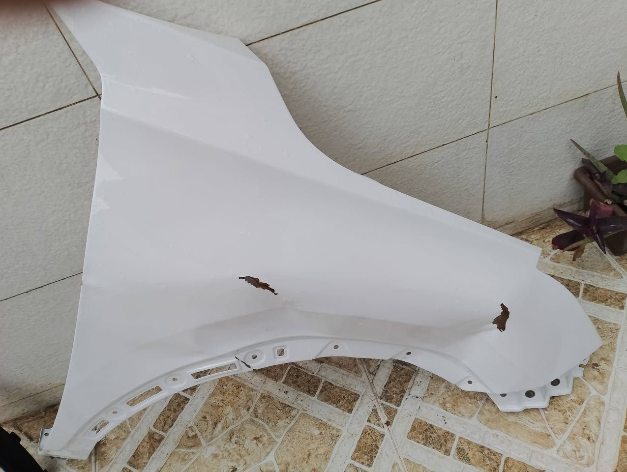 يتوفر جاملغ امامي يمين ابيض متضرر قليلا تيگو 4 موديل 2023 للبيع مع التريشة .


**إذا كنت صاحب هذا الإعلان وتريد حذفه لأي سبب، رجاءا أرسل رسالة إلى الدعم الفني**