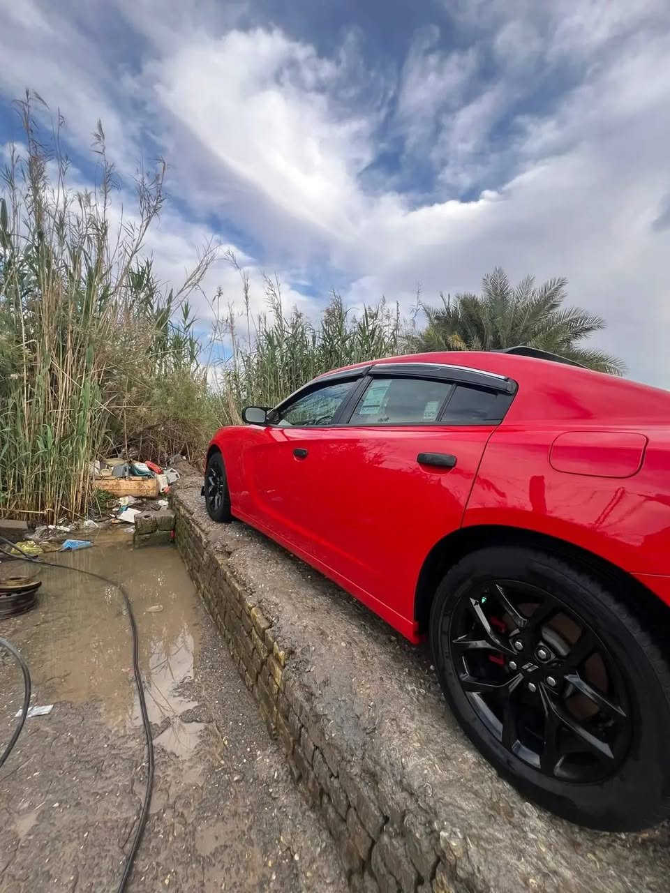 السلام عليكم ورحمه الله 
جارجر موديل 18اصل تحويل مباشر جاهزه رقم بغداد سياره جديده معنى الكلمه باقي التفاصيل  والسعر خاص


**إذا كنت صاحب هذا الإعلان وتريد حذفه لأي سبب، رجاءا أرسل رسالة إلى الدعم الفني**