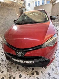 كورلا • ٢٠١٩ • سليمانيه