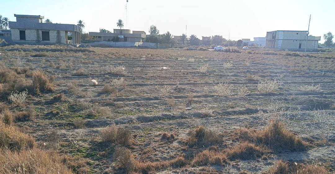 #للبيع
دونمين طابو زراعي سند 25
في الصقلاوية #حويوة كامل الخدمات
#تحويل مباشر 
#السعر مناسب #سعر الدونم 58 مليون 
#ارض مربعه وتصلح سكن ومزارع نموذجية 

للاستفسار 
***********
***********
