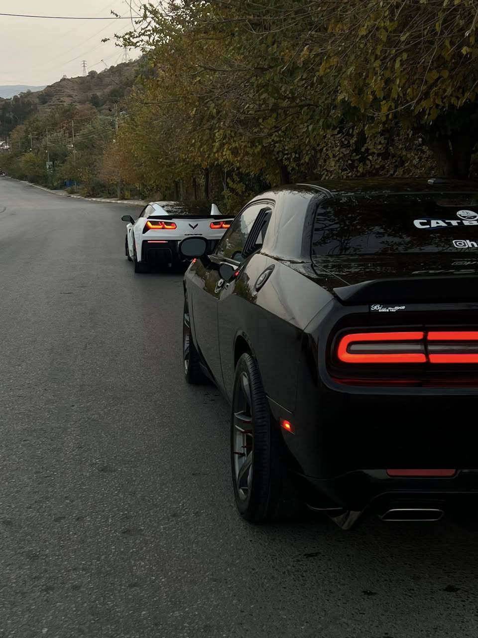 السلام عليكم 

دوج جالنجر مديل 21

حادث جاملغ وبنيد مبدل فخذه جه سايق بامريكا 
ماشيه 50 
مكينه 6 / 3600
كامره 
حساس 
النقطه العمياء 
شاشه حجم كبير 
داخل كله لون اسود 
كشنات جلد 
فتح الابواب الذكي 
عليه كت كامل كاربون تغطيس سكوب يدات باب مري 
ستيرن مغلف كاربون احمر 
كير مغلف كاربون احمر
شاد دفيوزر كلش حلو عليه 
الي ذاكرهم كلهم تغطيس
عليه ويد تو سايز تايرات جدد اليوم شادهن 
شاد منظومه تبريد كامله جديده 
حتى راديترات جدد واصلي 
عليه لد عدسات متغير كل الالوان 
السيارع خير من الله وكل نقص مبيه 

عارضه 185 وبيه مجال لطيبين 

متواجد واتساب واتصال  ***********
