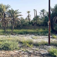 الناصرية • ٢٠٠م • طابو أسهم