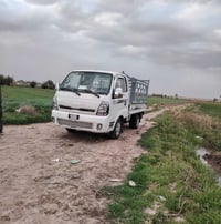 باچر رايح كركوك • العودة المغرب • عنده غرض