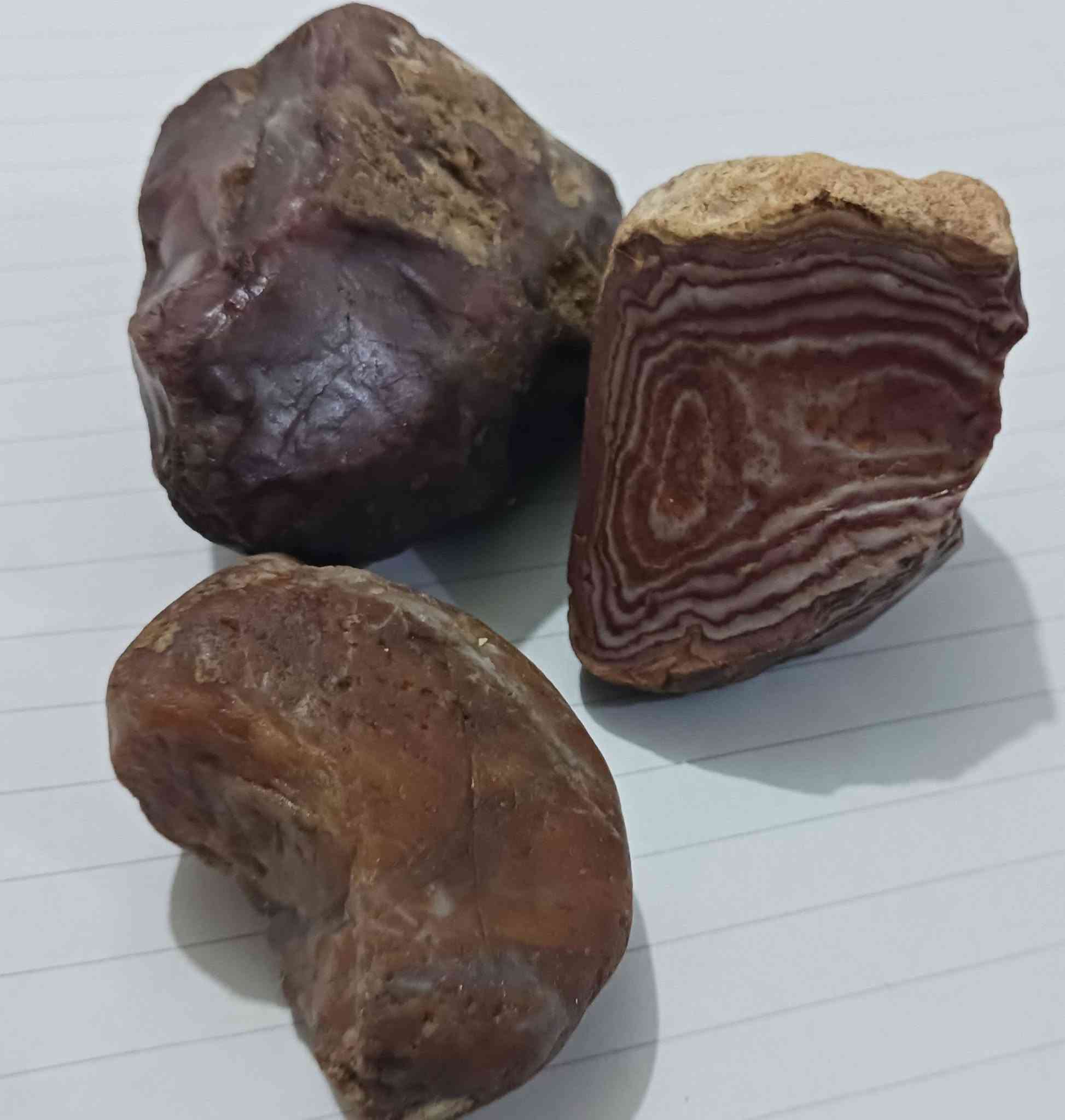 لاحجارملاکط


**إذا كنت صاحب هذا الإعلان وتريد حذفه لأي سبب، رجاءا أرسل رسالة إلى الدعم الفني**