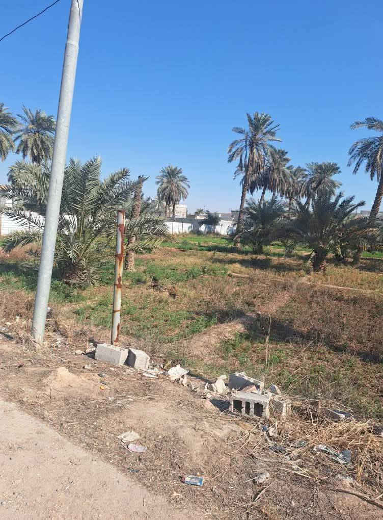 دوانم 6 للبيع طابوملك صرف زراعي ملاك عراقي تحويل بلاسم مباشر مكان مميز جداا الي عله باب الله قضاء شط العرب مقابيل شط الجباسي للاستفسار واتساب ***********او ***********
