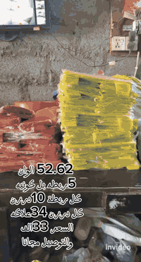 🎨 علاكة ملوّنة – قياس 52.62 ✅ ألوان جذابة ✅ جودة ممتازة – درجة أولى  📦...