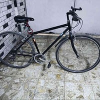 باسكل • للبيع • خاص