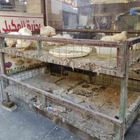 قفص دجاج للبيع طابقين حديد ثقيل  السعر ١٢٥ الف  الحريه قرب ساحه عدن  0...