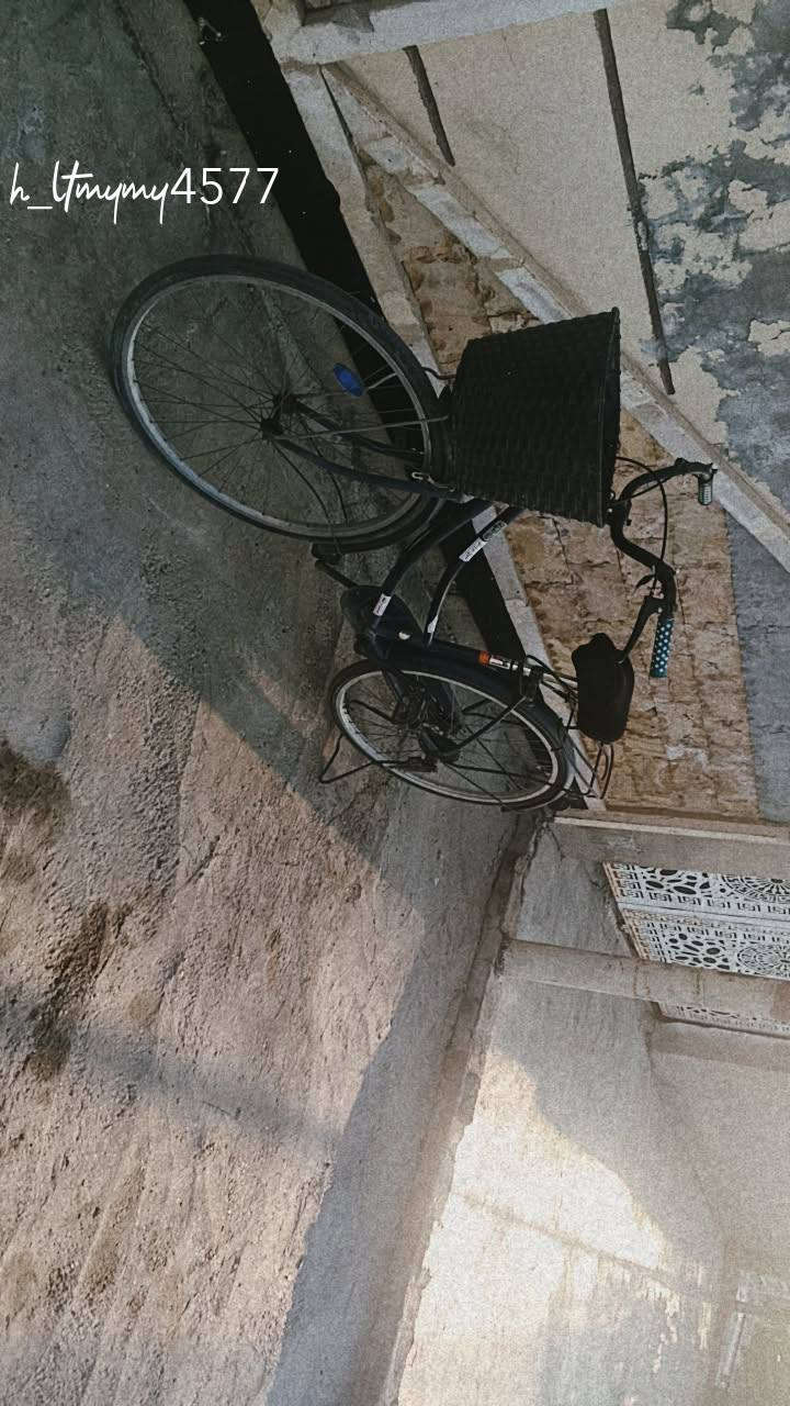 سلام عليكم بايسكل للبيع السعر خاص مكاني حي العسكري 0776273276


**إذا كنت صاحب هذا الإعلان وتريد حذفه لأي سبب، رجاءا أرسل رسالة إلى الدعم الفني**