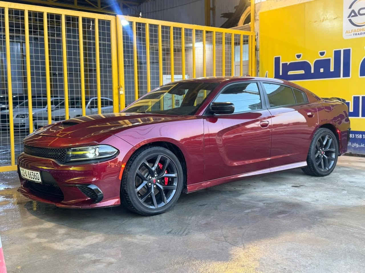 جارجر gt 2023 للبيع
السياره مغلفه ppf ضمان خمس سنوات
السياره جديده كلش
مرقم بغداد بأسمي
صور الحادث بالمنشور
عنوان السياره بابل المركز مكلف بالنشر
رقم صاحب السياره 

‭0770 110 1265‬
