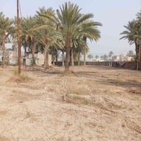 ٢ دونم • طابو عثماني • ٥٠م شارع رئيسي