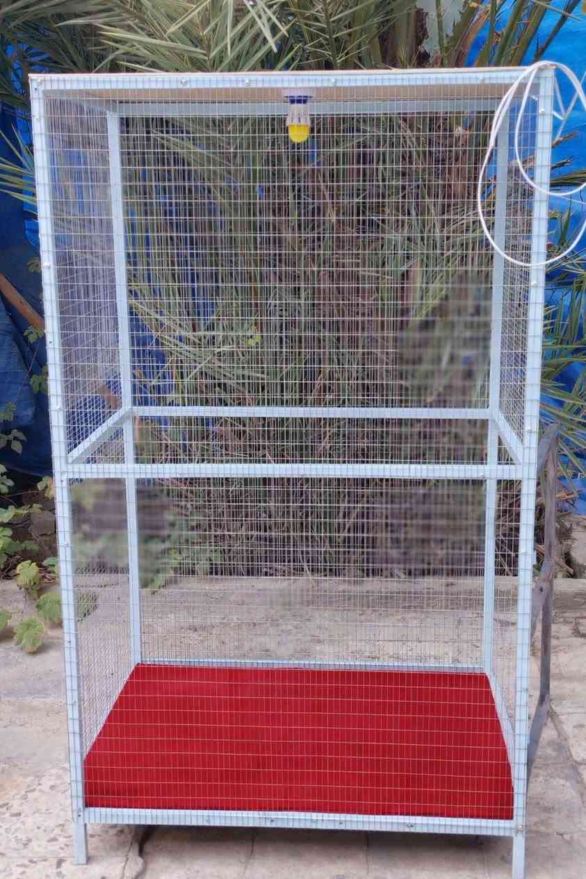 السلام عليكم قفص حديد ل بلابل ل بغبغاء ل طيور حب ل فناجس قياس الأرتفاع 175 النزال 60 اواجهيه 100 مكاني النجف كوفه حي ميسان ملاحضه الباب بعده ماكامل صبغ زنجاري الأساس سمأي يعني قاطين السعر 85 ***********
