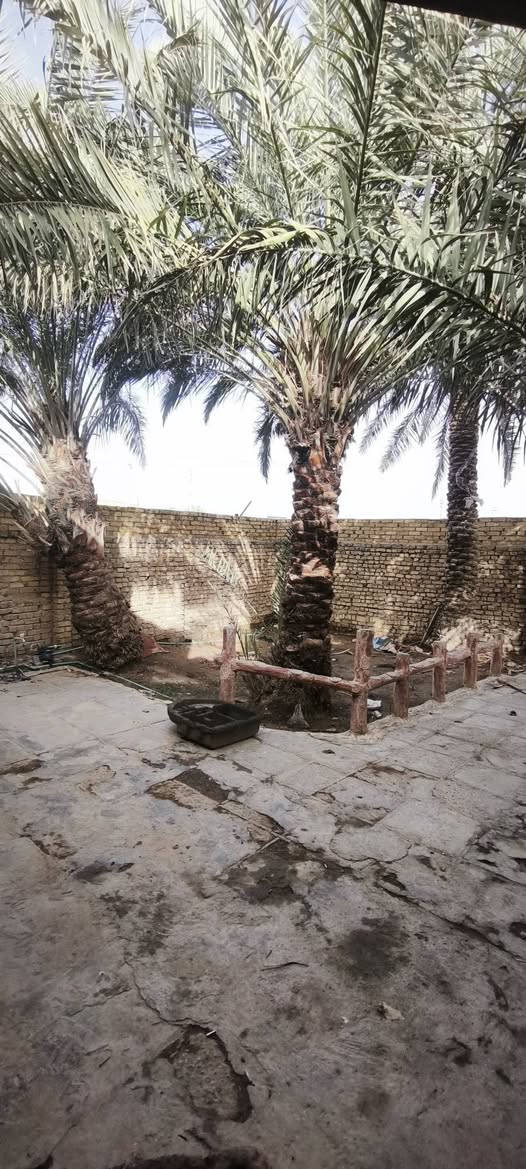 السلام عليكم
بيت للايجار في شارع الصدرين قرب مدرسة الإمامين ع شارع العام 
ثلاث غرف وصاله وديوانيه وحديقه اماميه 
الرقم ***********
