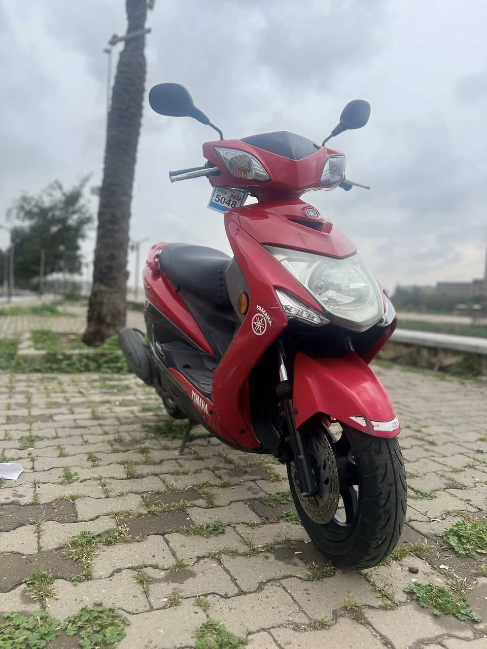 السلام عليكم للبيع سكنس لد ياباني  (خطين نوزل )  مديل الحديث شاشه الكترونيه عداد بانزين نظام فحص شحن الباتري نظام فحص الدهن دراجة جديدة مال رمبه او اوراقها كامله دراجه بيها محرك يخبل وبرغي ما مفتوح بيها بشرط جيب فيتر وأفحص والدراجة إذا تجي وتشوفها مو نفس الصوره تاخذها بلاش ما ابيع إذا متجيب فيتر ويفحصها دراجه مال جناي كفرات بلاديه محرك بلادي كولشي بيها بلادي تفتح سويج بس تدوس دكمت لسلف تشتغل مكفوله من الشخط اكفلك التاير  إذا بيه بنجر ارجع او اكول أكفلك التاير إذا بي بنجر تعال وشوفها بعينك السعر1450 أوبيها مجال قليل لان دراجه رمبه)تجي تاخذها من باب البيت مكاني
بغداد   📞***********
