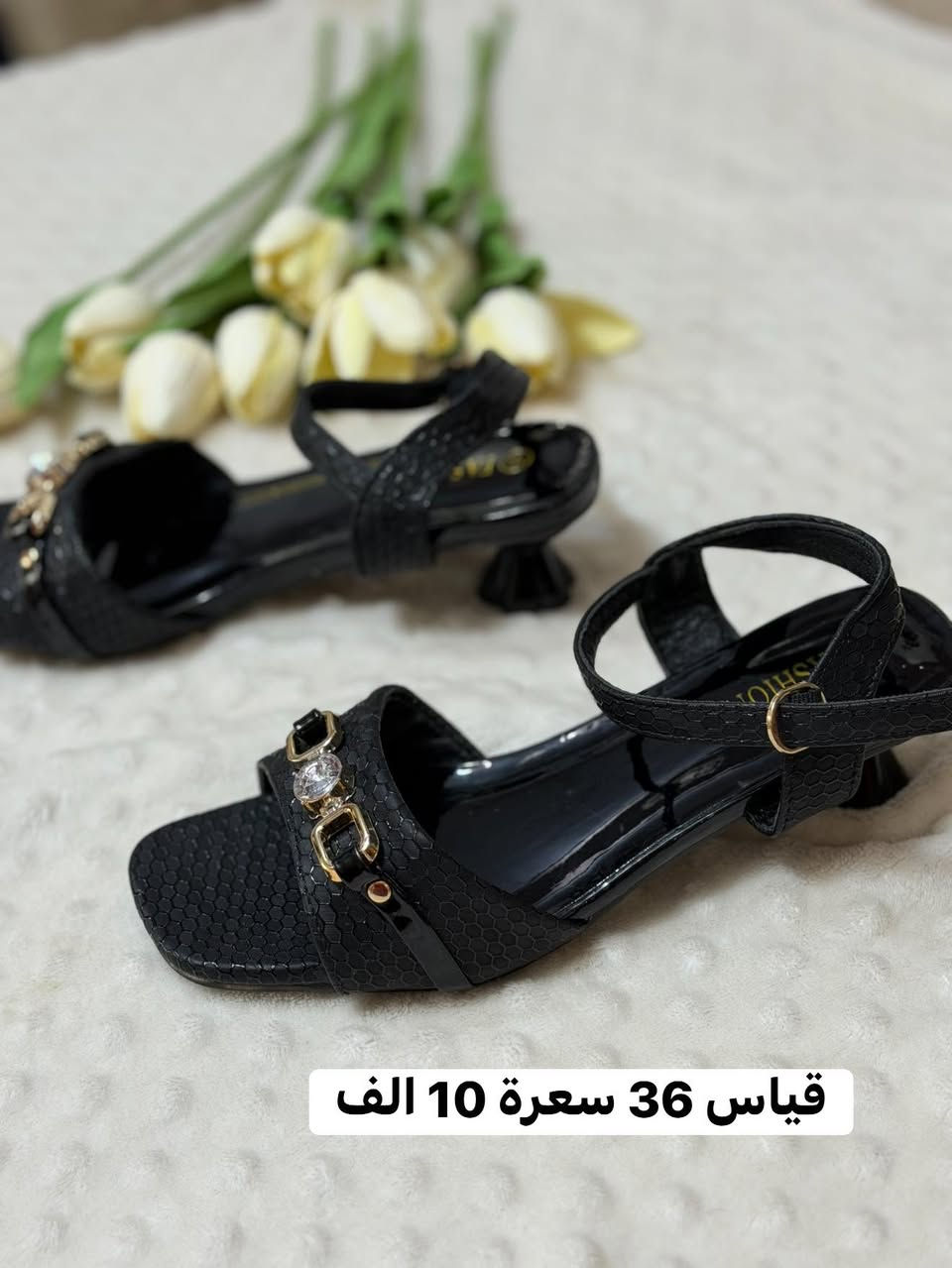 احذية شي ان كوالتي ..توصيل 3 الف


**إذا كنت صاحب هذا الإعلان وتريد حذفه لأي سبب، رجاءا أرسل رسالة إلى الدعم الفني**