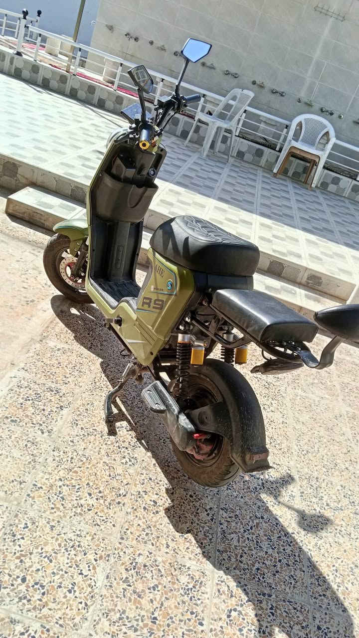 بيسكل R9بيسكل حلوه أو نضيفه مابي اي نقوصات بطاريات كلش زين مايصرف شحن موديل 2025
سعر 325وبي مجال


**إذا كنت صاحب هذا الإعلان وتريد حذفه لأي سبب، رجاءا أرسل رسالة إلى الدعم الفني**