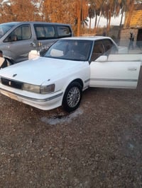 شيزر • رقم نجف • مكينة وكايمه