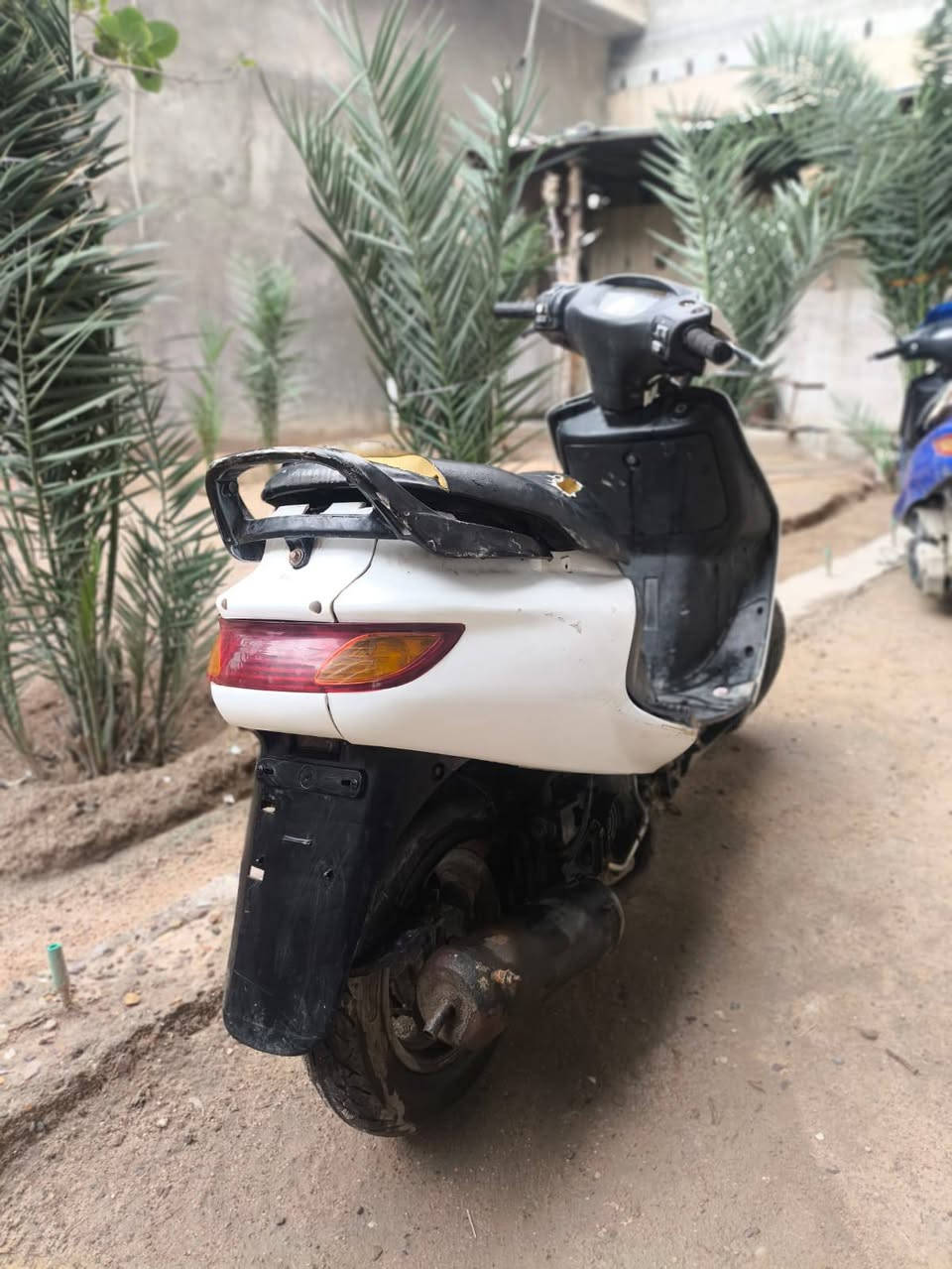 سلام عليكم فراشه للبيع....دراجه مجفته حلوه ونظيفه وناعمه النقوصات اللي بيه فقط ستاند وسط وواير كيلومتر عداد سعره 275 وبيه مجال للشراي يتفضل خاص وبالخدمه


**إذا كنت صاحب هذا الإعلان وتريد حذفه لأي سبب، رجاءا أرسل رسالة إلى الدعم الفني**