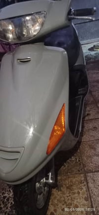 فراشة • نضيفة • ديوانية مركز