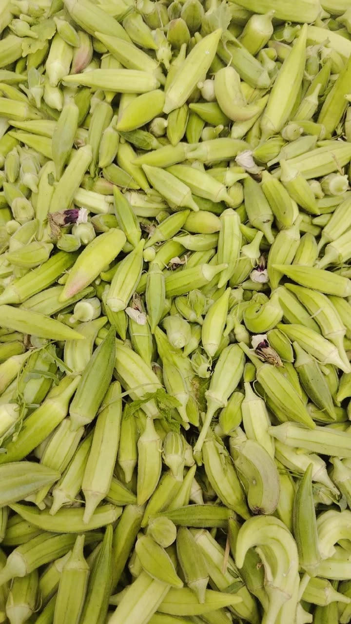 باميه ناعمه حوي اليوم 

السعر 2000 دينار
يوجد توصيل مجاني


**إذا كنت صاحب هذا الإعلان وتريد حذفه لأي سبب، رجاءا أرسل رسالة إلى الدعم الفني**