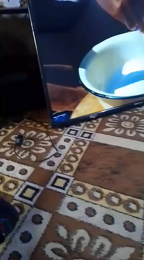 شاشه حجم 50نت سمارت شغاله وما بيها عطل ب 250بيها مجال مكانها الغزاليه يم جامع


**إذا كنت صاحب هذا الإعلان وتريد حذفه لأي سبب، رجاءا أرسل رسالة إلى الدعم الفني**