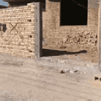 بيت زراعي • ٢٠٠م • طريق سوق الشيوخ فضلية