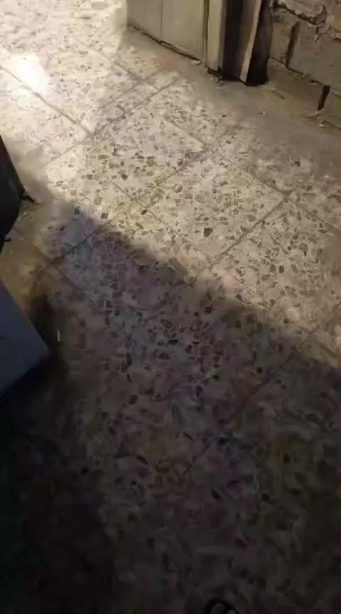 سلام عليكم كوفي للبيع كامله هيه والكاع والغراض الي بيها بلياردات ثنين نراكيل ٣٠ ميوزه دومنه ٧ تفصال درجه اوله تخامه ٤ تفصال جهاز بيني سبورت مفعل قنوات رياضيه  بلازما ١منضومه انترنيت كراسي ٢٠ تفصال  منضومه كامرات سبالت ٣ جداري جدد  صايره ركن وبيهه كشك ماجرينه المساحه 150 مشموله بل تطويب وأكو مساحه وره الكشك هم الك يصير بيه محلات تكدر تكبر الكوفي  العنوان الرشاد شارع التانكي قرب فلكة حي النصر السعر ٧٥ مليون وبيها مجال   للأستفسار الاتصال على الرقم ***********
