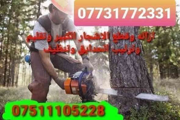 تنظيف حدايق اوتقليم الشجرة  👈هي شي نشغل نتظيف . رش مبيدات حشريه الصرصير -البق- *********** اسيا  *********** كورك (رحم ولدك وافق الادمن  على منشور اريد اشتغل كعد ايجار💔#🌹 نحن بخدمة مناطق) ................
