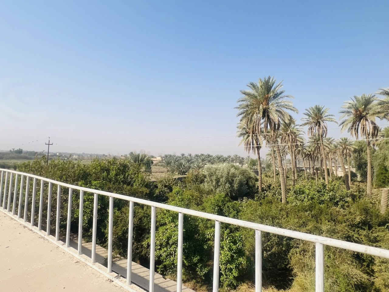 سلام عليكم ارض زراعيه للبيع 
المساحه (3) دونم ونص 
العنوان ام نعجه عمود 256 

‭0783 885 1910‬
