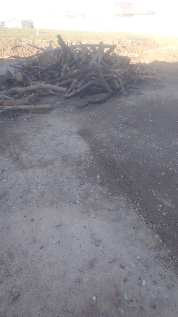 سلام عليكم  خشب لبيع  ***********
