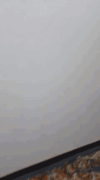 100م حي البساتين حي السلام  قرب صيدليه عطر البساتين  كراج وصاله ومطبخ وغرفه نوم  السعر 65 قسط مقدمه نصف السعر ***********
