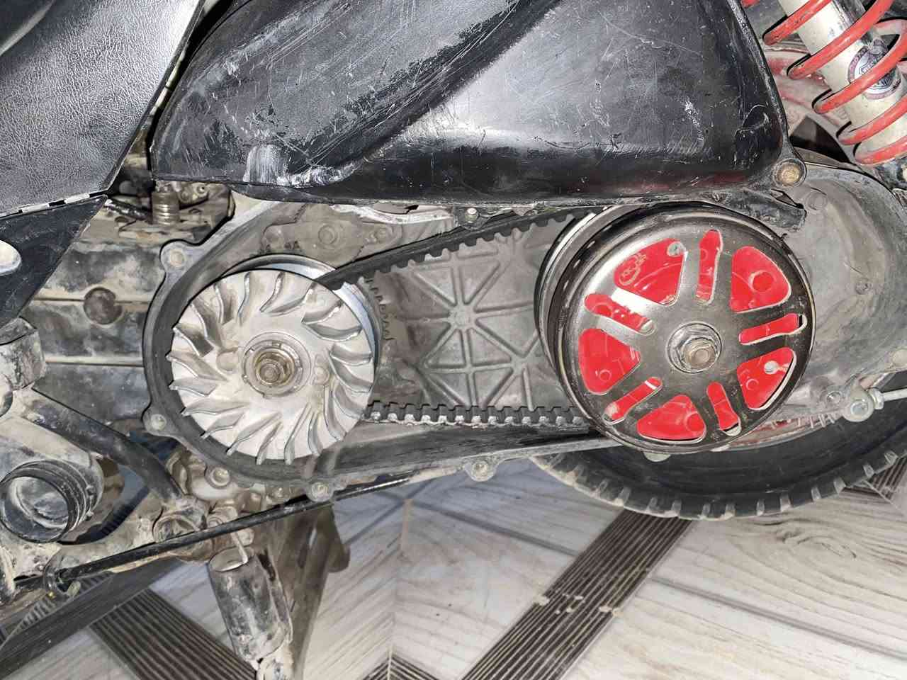 إسلام عليكم ماكس ثعلب للبيع
ادراجه إذا مو شلعتها تأكل الكاعد  اتعوفها او ترجع
ادراجه حلوه او غير من الله ادراجه كلها شغاله
ماكاني بغداد شعله
اسعر٥٧٥ /واتساب ‭٠٧٨٧ ٩٠٥ ٠٢٥١‬
