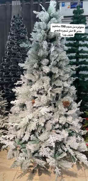 مركز ادم جابلكم لوحة حقيقية فنية بالبيت واحنا مقبلين ع أعياد الميلاد احنا سباقين حتى لا تصعد الأسعار وتجار الأزمات يصعدون ع المواطن اليوم متوفرة ٣ موديلات الأخضر والأبيض والأخضر الثلجي وبسعر جوة الجملة( على شرط كثافة متلكة مثلها بغداد)
٦٠ سم  ارتفاع  وثلاث موديلات ب٤،٥٠٠ دينار بس
١٢٠ سم ارتفاع بس ب ٧.٥٠٠ دينار
١٥٠ سم ارتفاع بس ١٥ الف دينار
٢١٠ اخضر او ابيضّ بسعر ٣٨ الف دينار
 ٢١٠ سم ارتفاع وثلاث موديلات ب ٨٥ الف دينار
١٢٠ سم ثلجي أقوى شي موجود بسعر ٢٥ الف دينار
الثلجي فول الفول عالي الكوالتي والكثافة بسعر     ال٣ متر  بسعر ١٨٠ الف دينار 
العنوان / الدورة حي دجلة شارع ١٦ 
المركز مفتوح ٢٤ ساعة 
خدمة التوصيل والحجز الاتصال :- 
***********
