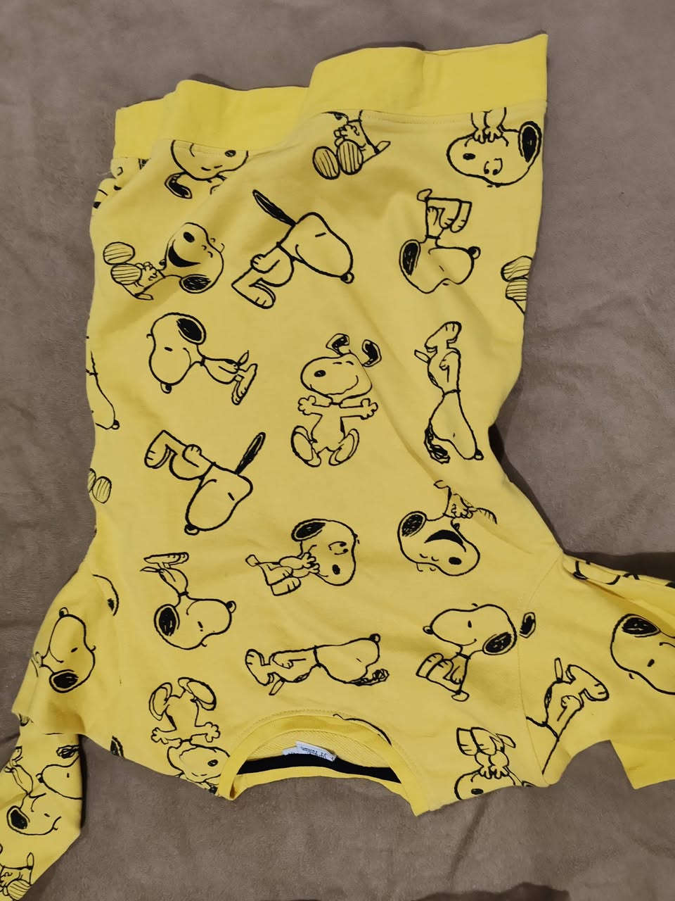 شي ان شلعه
٢٥ قطعه ب٥٠ توصيل مجاني


**إذا كنت صاحب هذا الإعلان وتريد حذفه لأي سبب، رجاءا أرسل رسالة إلى الدعم الفني**