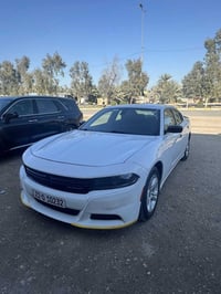 جارجر SXT • ٢٠٢٣ • رقم أربيل