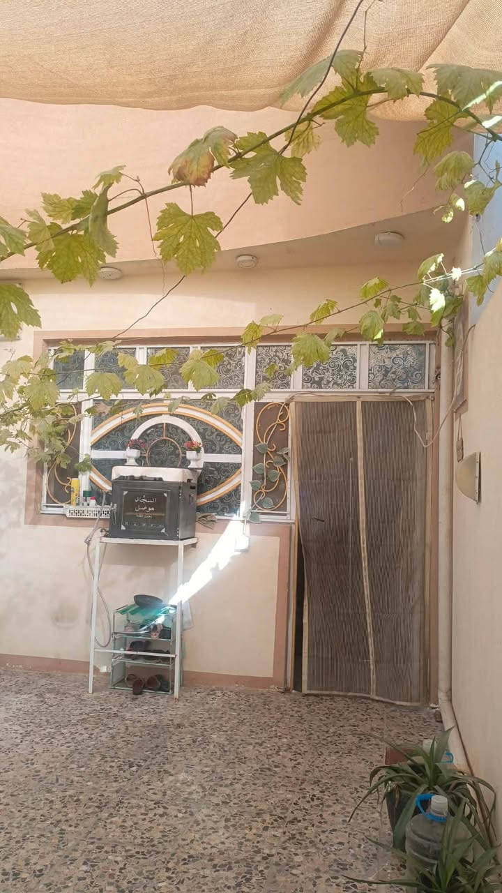 بيت للبيع طابو صرف مساحه 200متر نزال 20واجهه 10 مكان الشعب الحي الصناعي الاستفسار الاتصال على رقم ***********
