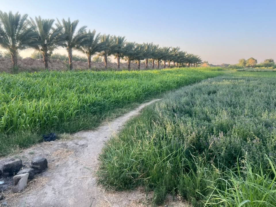 السلام عليكم ارض زراعيه للبيع 15دونم  الموقع زبيدي شاخه 9  الاستفسار
***********
