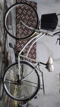 دراجة • مراوس • الفلوجة